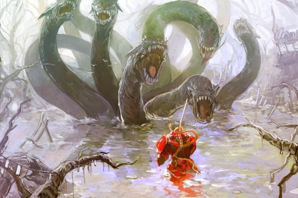 Kraken 13at